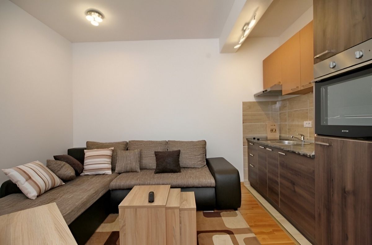Alexandria apartman Zlatibor | Stan na dan Zlatibor Centar — dnevna soba, apartman na dan u Zlatibor (fotografija 1 od 10)