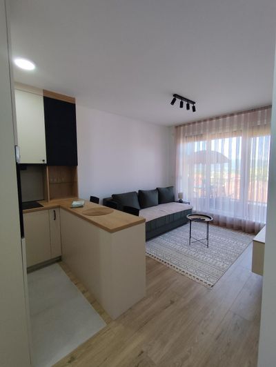 Apartman Nevena Vrnjačka Banja | Stan na dan Vrnjačka banja — trpezarija, apartman na dan u Vrnjačka Banja (fotografija 5 od 14)