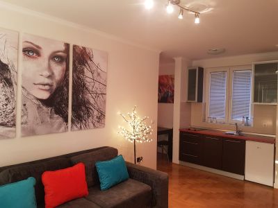 Stan na dan Centar Kragujevac | Apartman Kragujevac — kuhinja, apartman na dan u Kragujevac (fotografija 3 od 14)