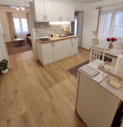 Apartman Nata Vrnjačka Banja — kuhinja, apartman na dan u Vrnjačka Banja (fotografija 3 od 20)