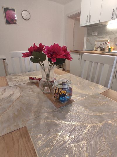 Apartman Nata Vrnjačka Banja — dnevna soba, apartman na dan u Vrnjačka Banja (fotografija 11 od 20)
