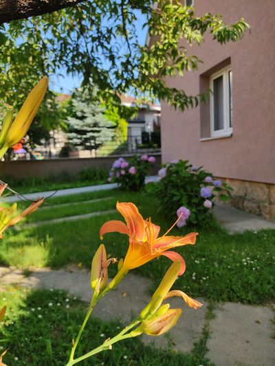 Apartman Nata Vrnjačka Banja — kupatilo sa tuš kabinom, apartman na dan u Vrnjačka Banja (fotografija 19 od 20)