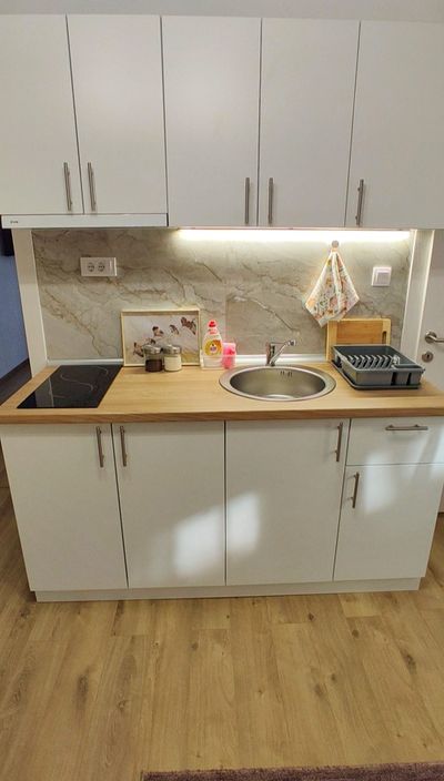 Apartman Nata Vrnjačka Banja — kuhinja, apartman na dan u Vrnjačka Banja (fotografija 13 od 20)