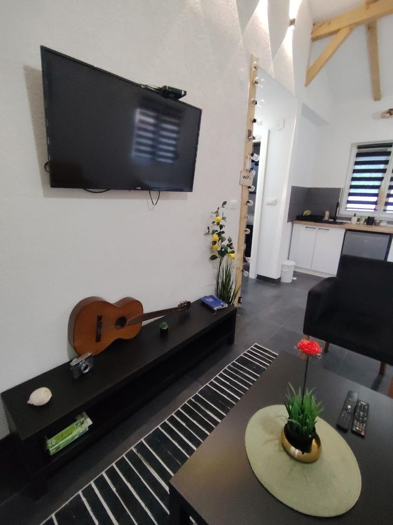 Kuća za odmor MERLIN House Vrnjačka Banja –Stan na dan Vrnjačka banja blizu centra i Vrnjačkih Termi — spavaća soba sa francuskim ležajem, apartman na dan u Vrnjačka Banja (fotografija 8 od 20)