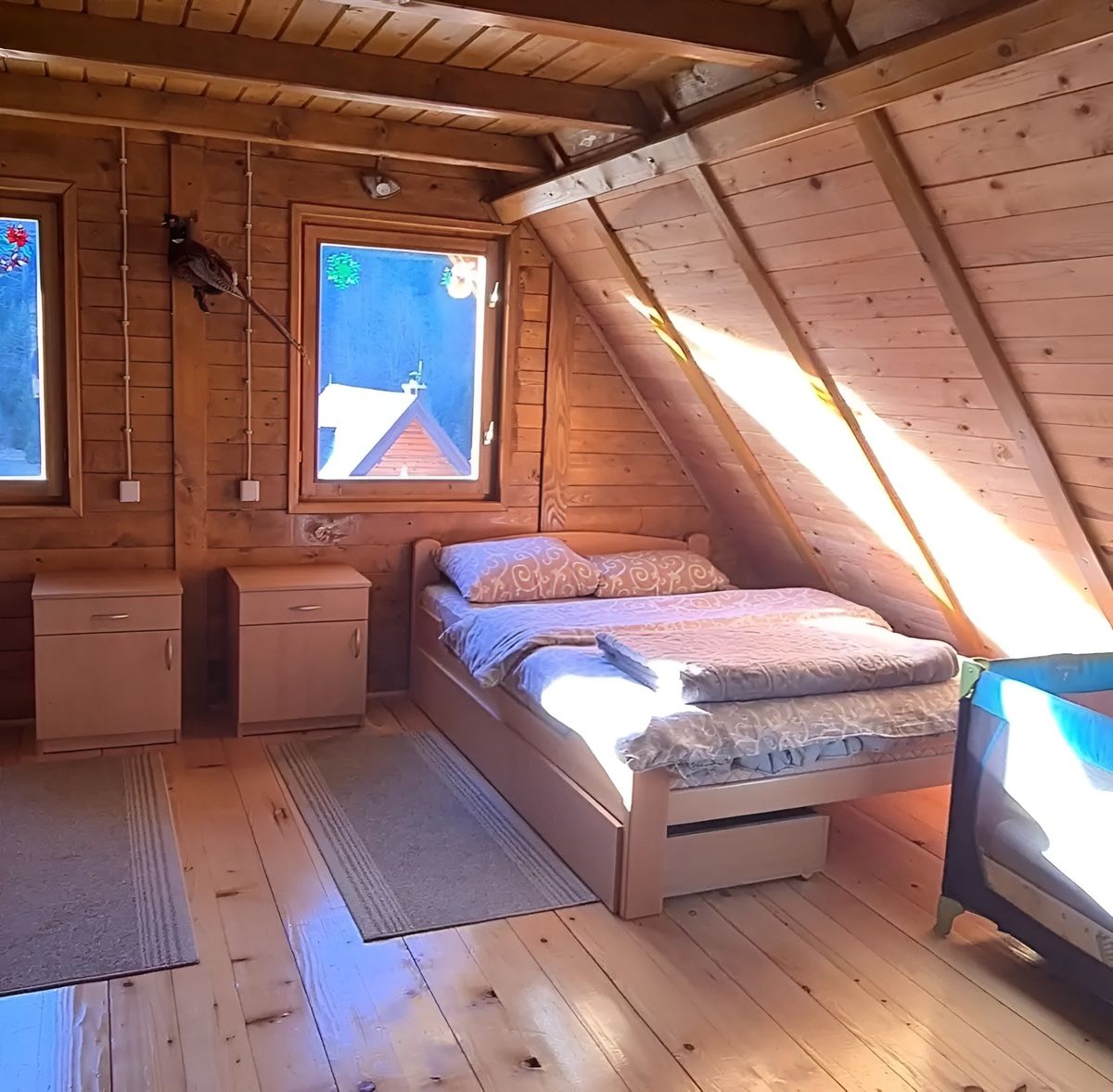 Brvnara Rakić – Apartman na Tari, Mitrovac — dnevna soba, apartman na dan u Tara (fotografija 1 od 12)