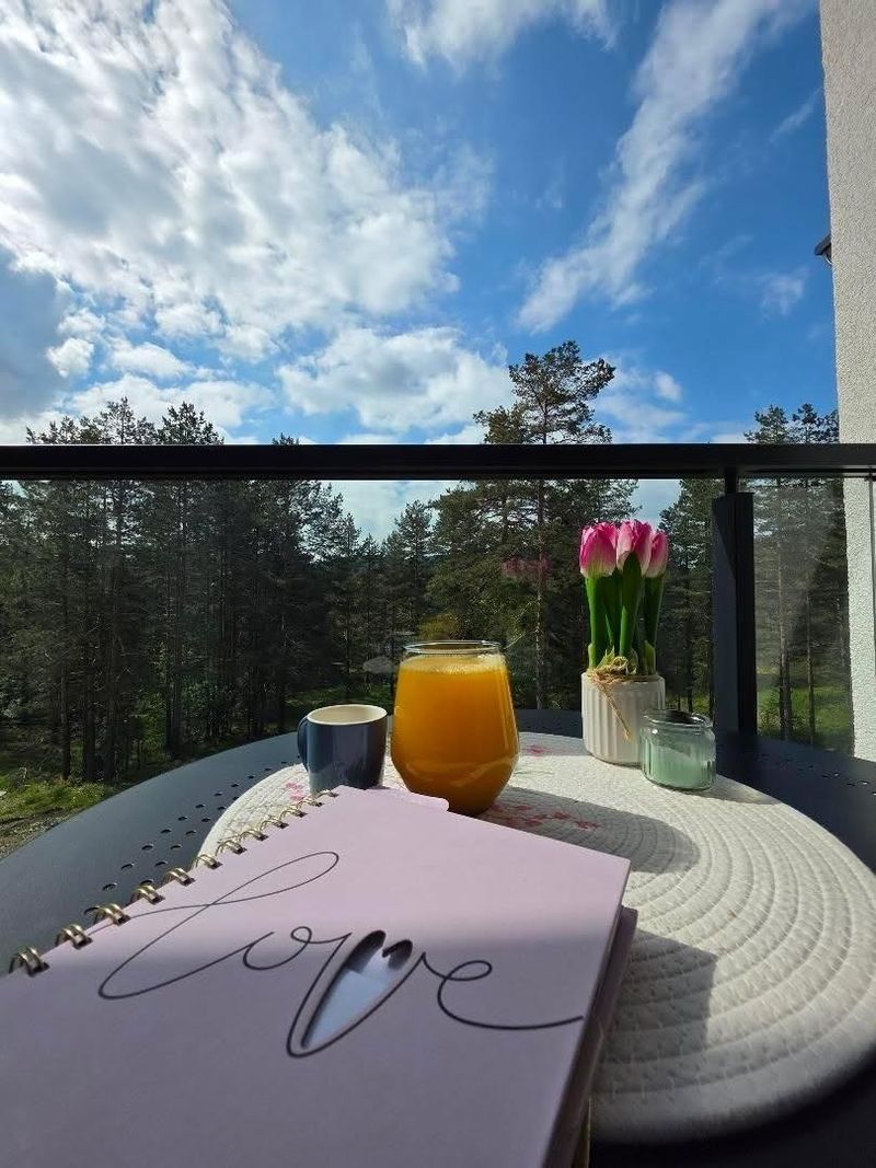 Apartman S11 Divčibare – Stan na dan Divčibare — kupatilo, apartman na dan u Divčibare (fotografija 4 od 11)