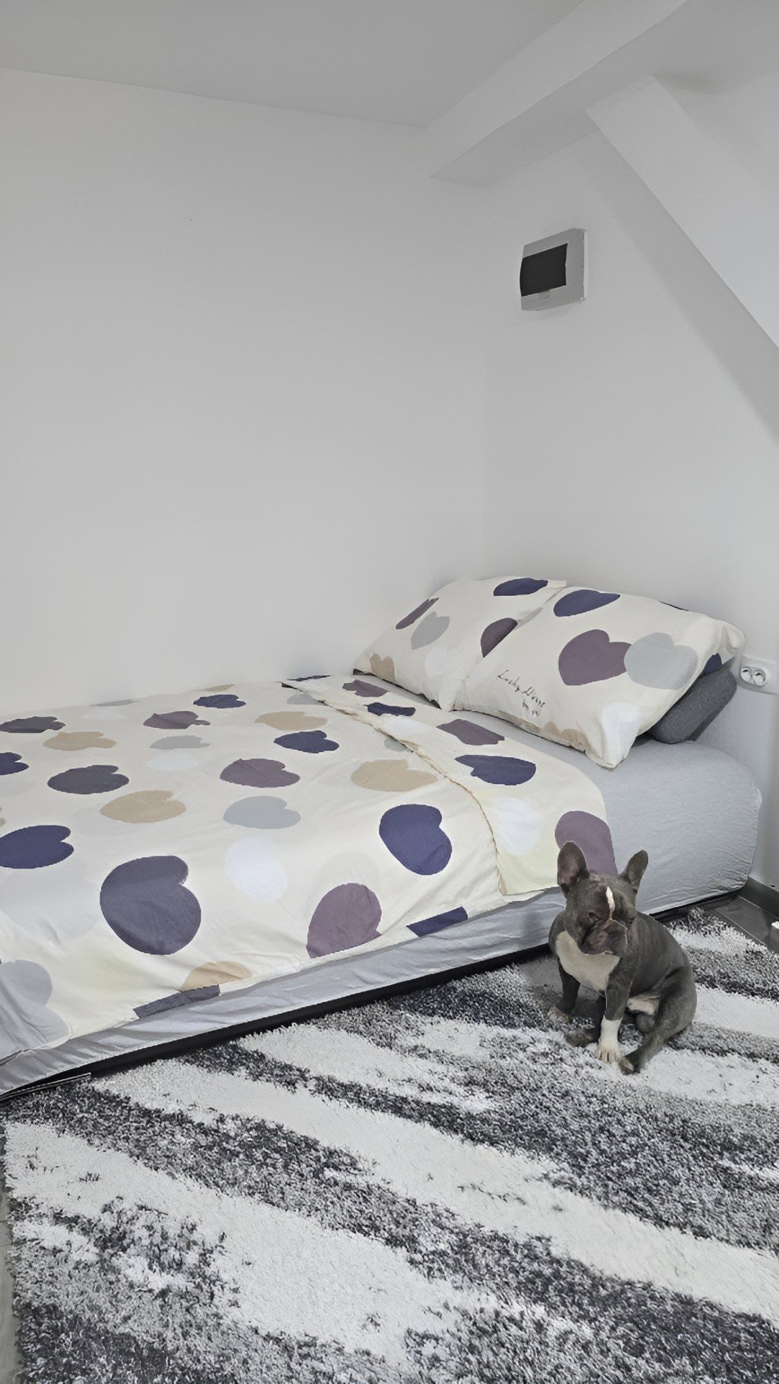 Mags Studio Zemun – Stan na dan kod Zemunskog keja Beograd — dnevna soba, apartman na dan u Beograd (fotografija 1 od 10)