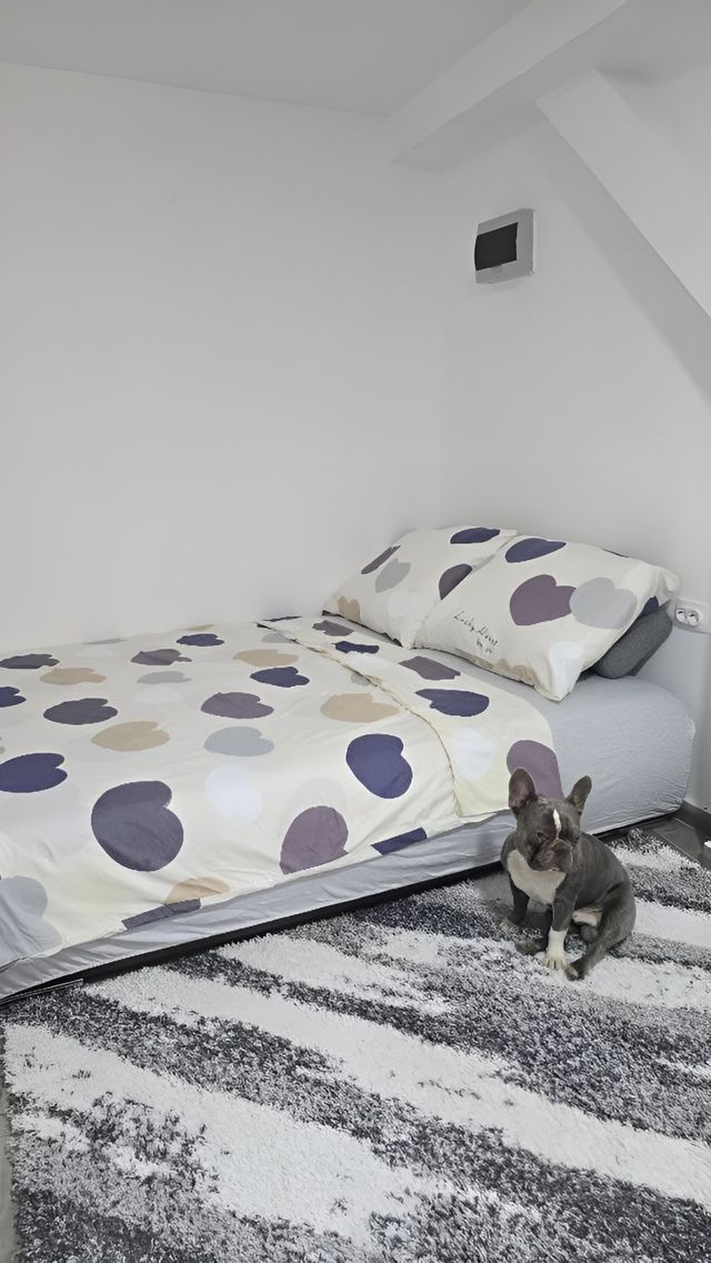 Mags Studio Zemun – Stan na dan kod Zemunskog keja Beograd — apartman na dan u Beograd