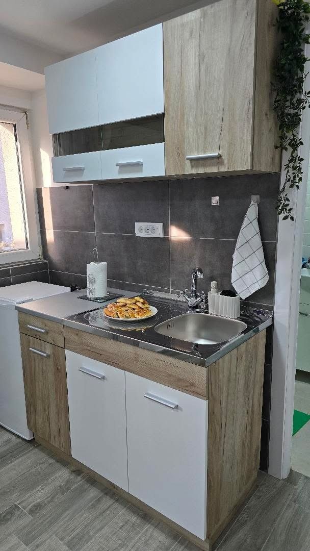 Mags Studio Zemun – Stan na dan kod Zemunskog keja Beograd — kupatilo sa tuš kabinom, apartman na dan u Beograd (fotografija 9 od 10)