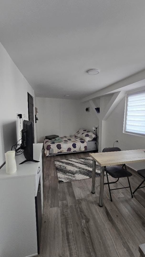 Mags Studio Zemun – Stan na dan kod Zemunskog keja Beograd — kuhinja, apartman na dan u Beograd (fotografija 3 od 10)