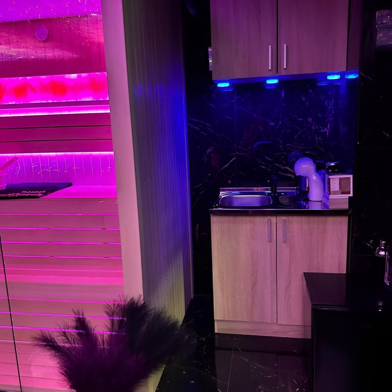 Flex Lux Spa Beograd Zvezdara – Stan na dan sa đakuzijem i saunom — spavaća soba, apartman na dan u Beograd (fotografija 2 od 11)