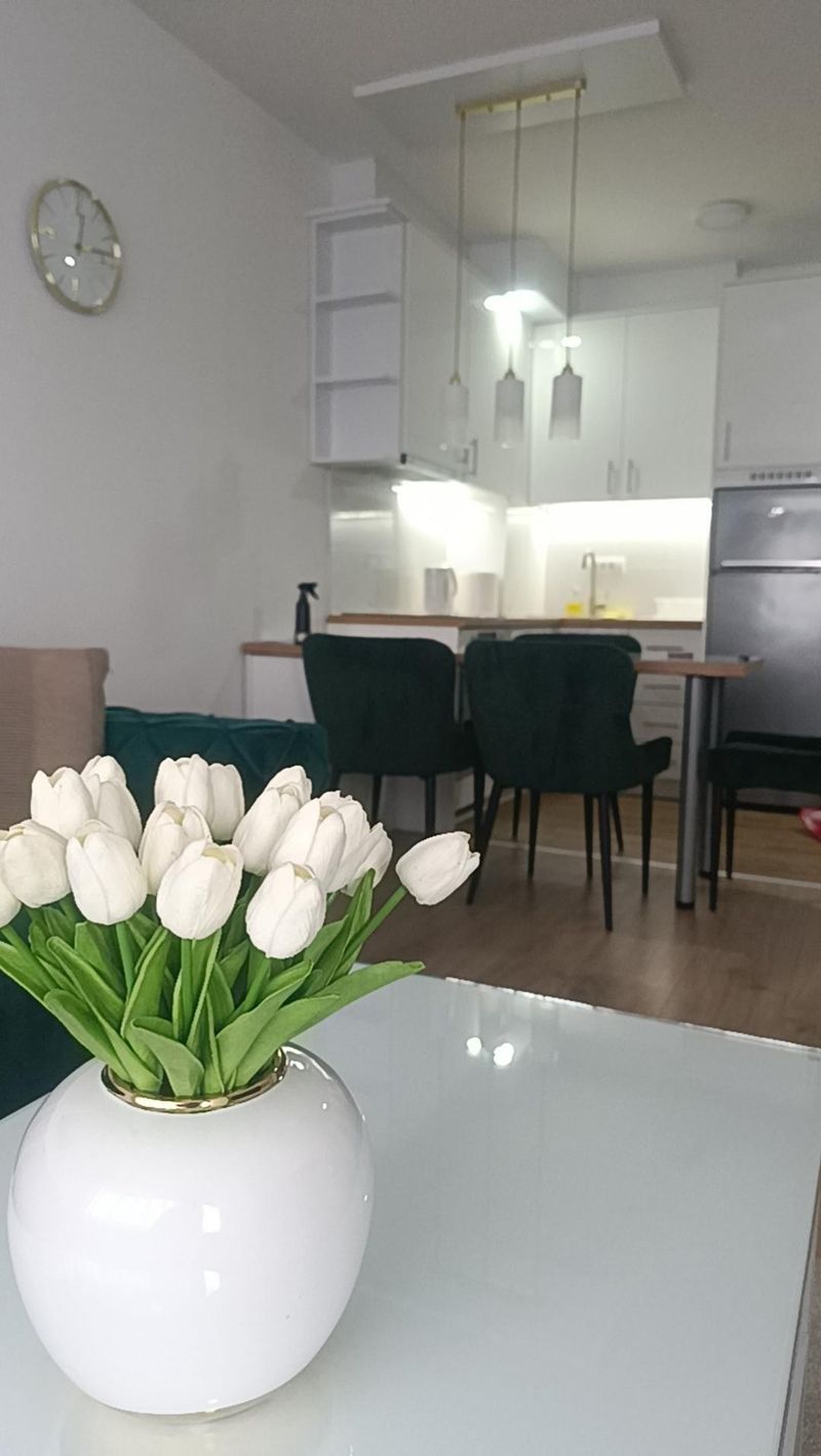 Panorama Apartman - Stan na dan u Kragujevcu Erdoglija, blizu Big Fashion — spavaća soba sa francuskim ležajem, apartman na dan u Kragujevac (fotografija 8 od 19)