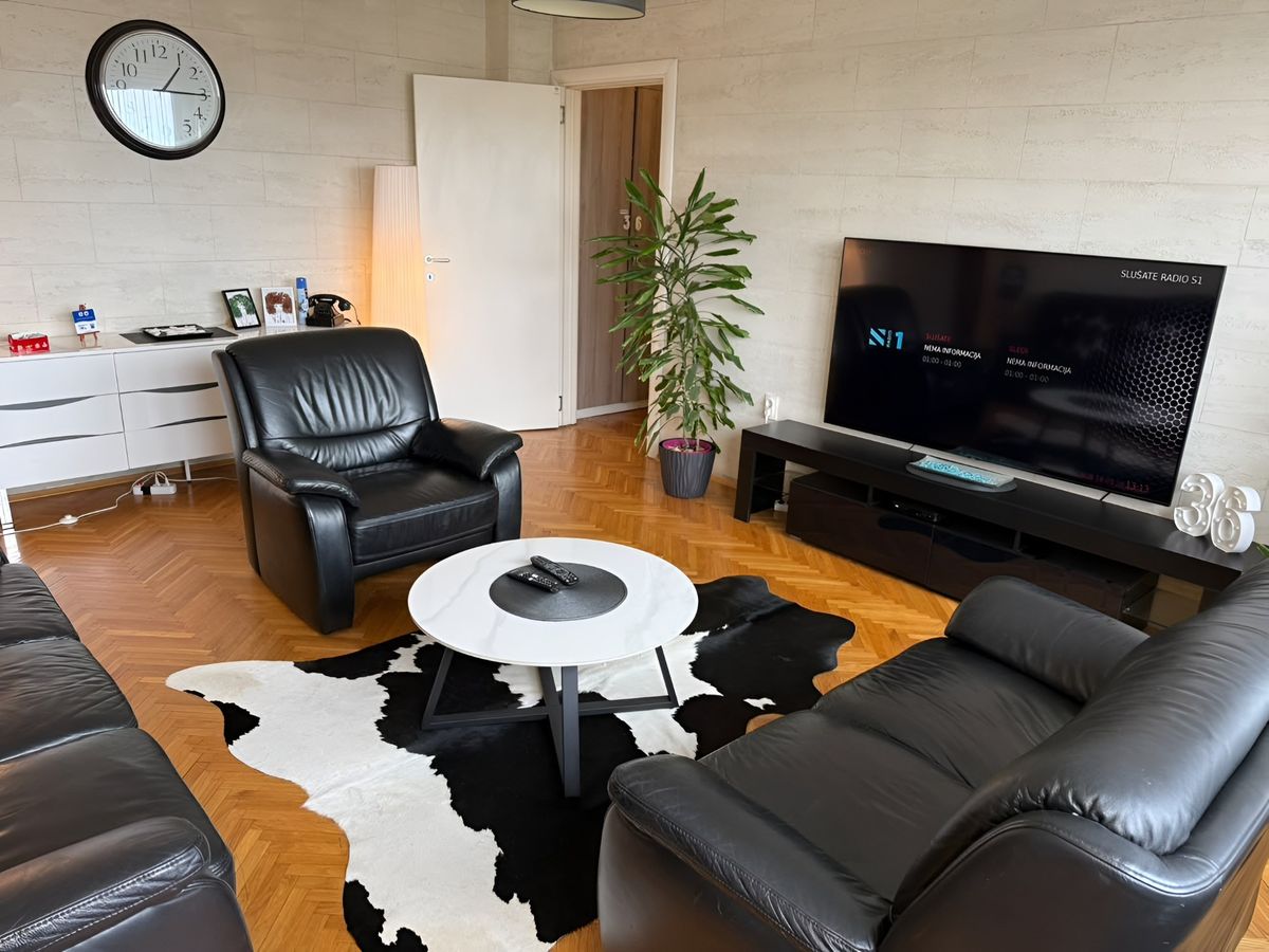 Apartman 36 – Stan na dan Beograd Palilula, blizu Skadarlije — dnevna soba, apartman na dan u Beograd (fotografija 1 od 19)
