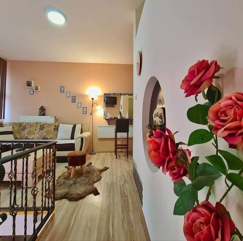 Apartman Nina - Stan na dan u Novom Sadu Rotkvarija, blizu glavne autobuske stanice — dnevna soba, apartman na dan u Novi Sad (fotografija 11 od 13)