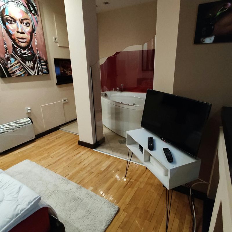 Apartman Queen Niš – stan na dan sa đakuzijem - Mediana — hodnik, apartman na dan u Niš (fotografija 7 od 9)