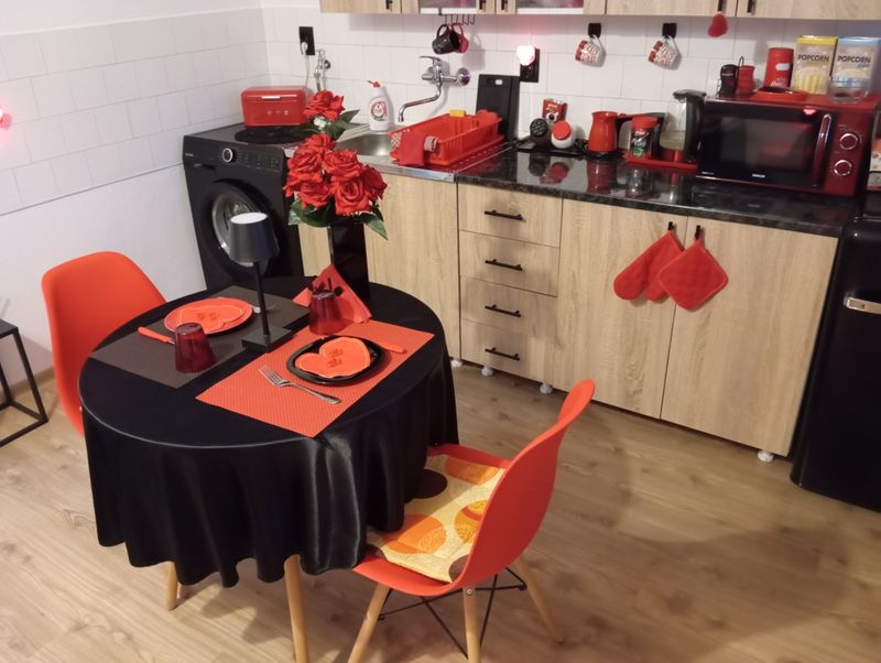 Red&Black Apartman — kuhinja, apartman na dan u Senta (fotografija 3 od 9)