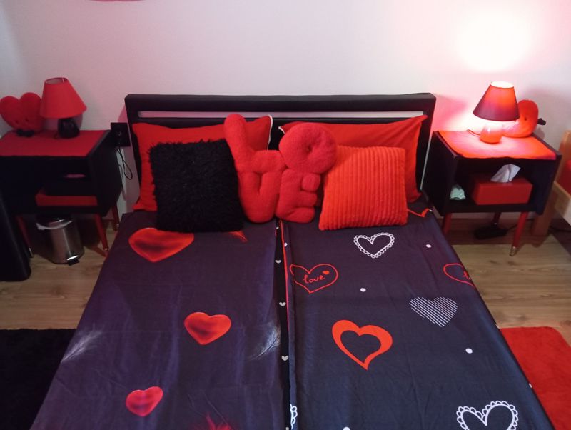 Red&Black Apartman — kupatilo, apartman na dan u Senta (fotografija 4 od 9)