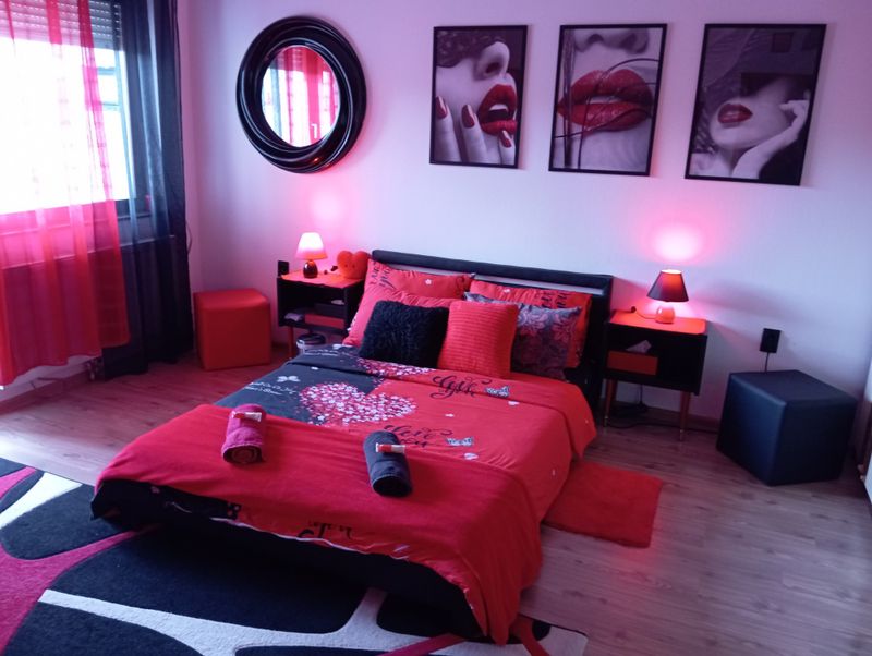 Red&Black Apartman — terasa, apartman na dan u Senta (fotografija 6 od 9)
