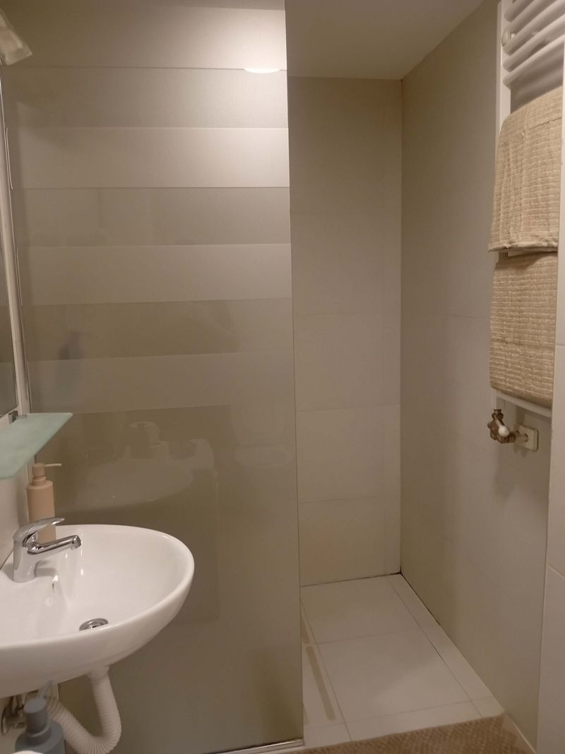 Senjak studio pored Beogradskog sajma — kupatilo, apartman na dan u Beograd (fotografija 4 od 10)