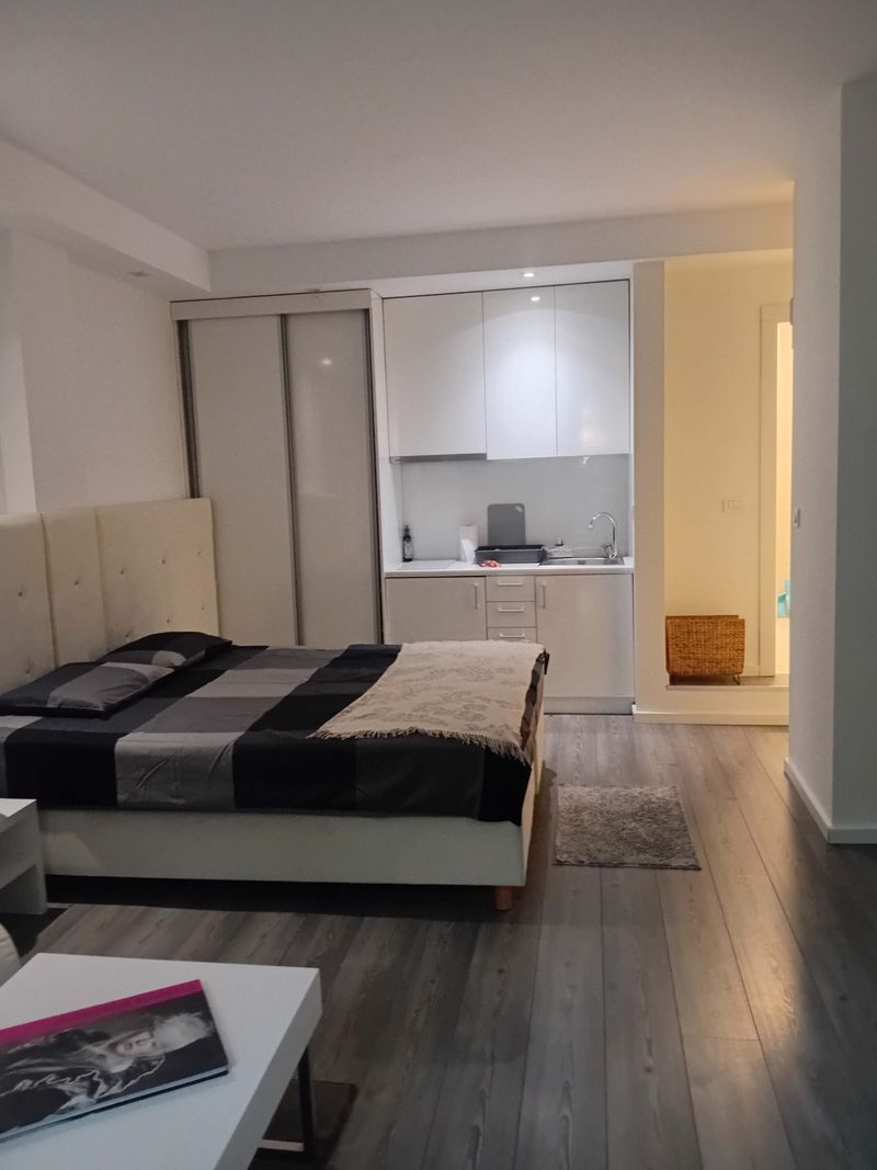 Senjak studio pored Beogradskog sajma — hodnik, apartman na dan u Beograd (fotografija 7 od 10)