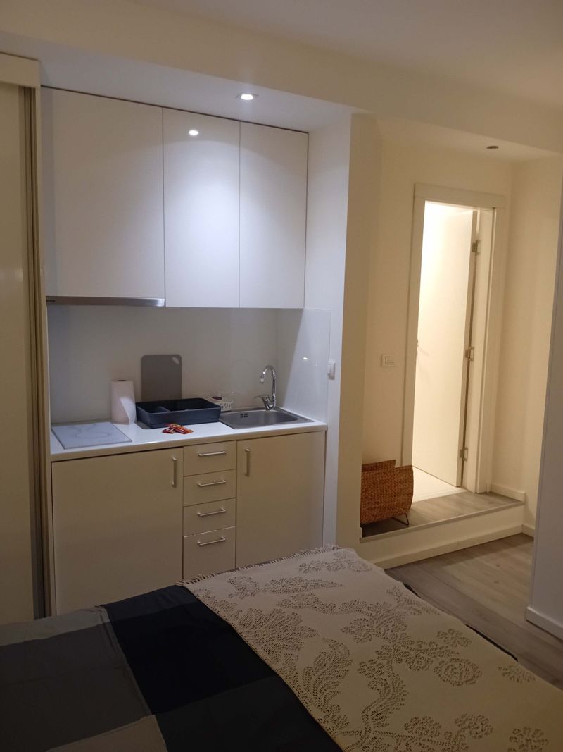 Senjak studio pored Beogradskog sajma — kupatilo sa tuš kabinom, apartman na dan u Beograd (fotografija 9 od 10)