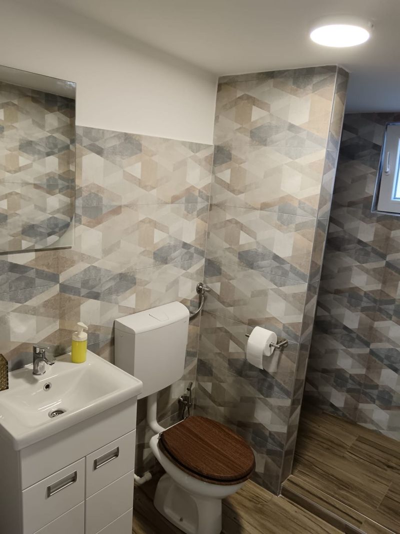 Stan na dan Niš - Centar — kupatilo sa tuš kabinom, apartman na dan u Niš (fotografija 9 od 10)
