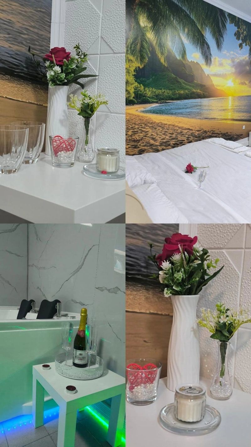 Stan na dan Pančevo — trpezarija, apartman na dan u Pančevo (fotografija 5 od 8)
